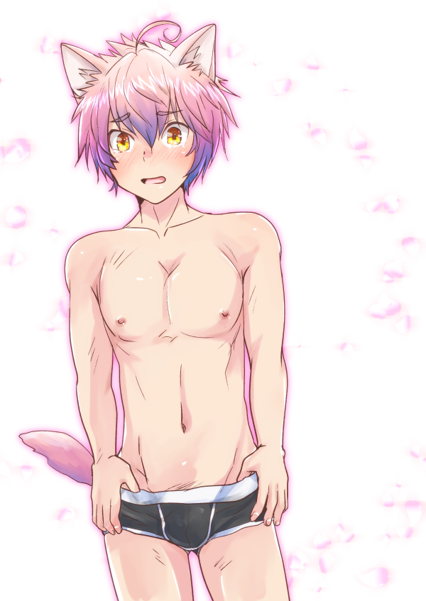 WANWAN_0.png